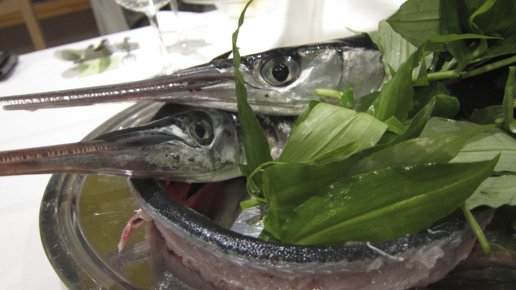 これは鶴岡地元の漁師さんがシェフのとこに持ってきたダツという魚。滅多に市場には出回らない魚ですが、淡白なわりに味に深みのある旨いサカナくんです。目の透明さが新鮮さを物語ってますね〜♪