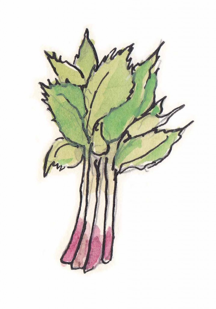 山菜のイラスト 公開します 小暮満寿雄 Art Blog