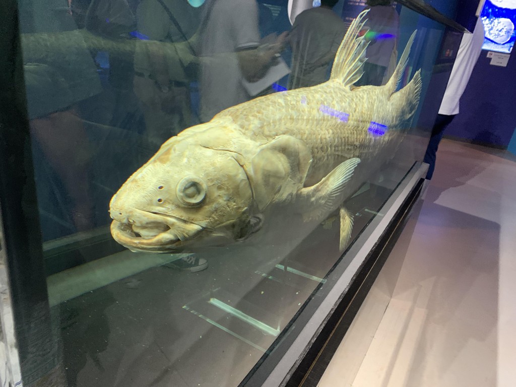 366374311_152777587868136_8602183408596528942_n 366374311_152777587868136_8602183408596528942_n