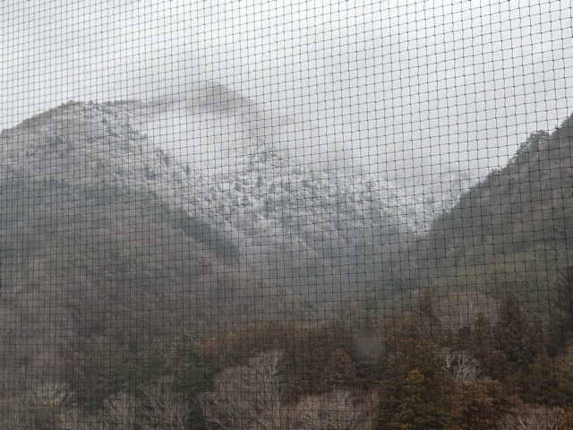 IMG_8577 2 IMG_8577 2